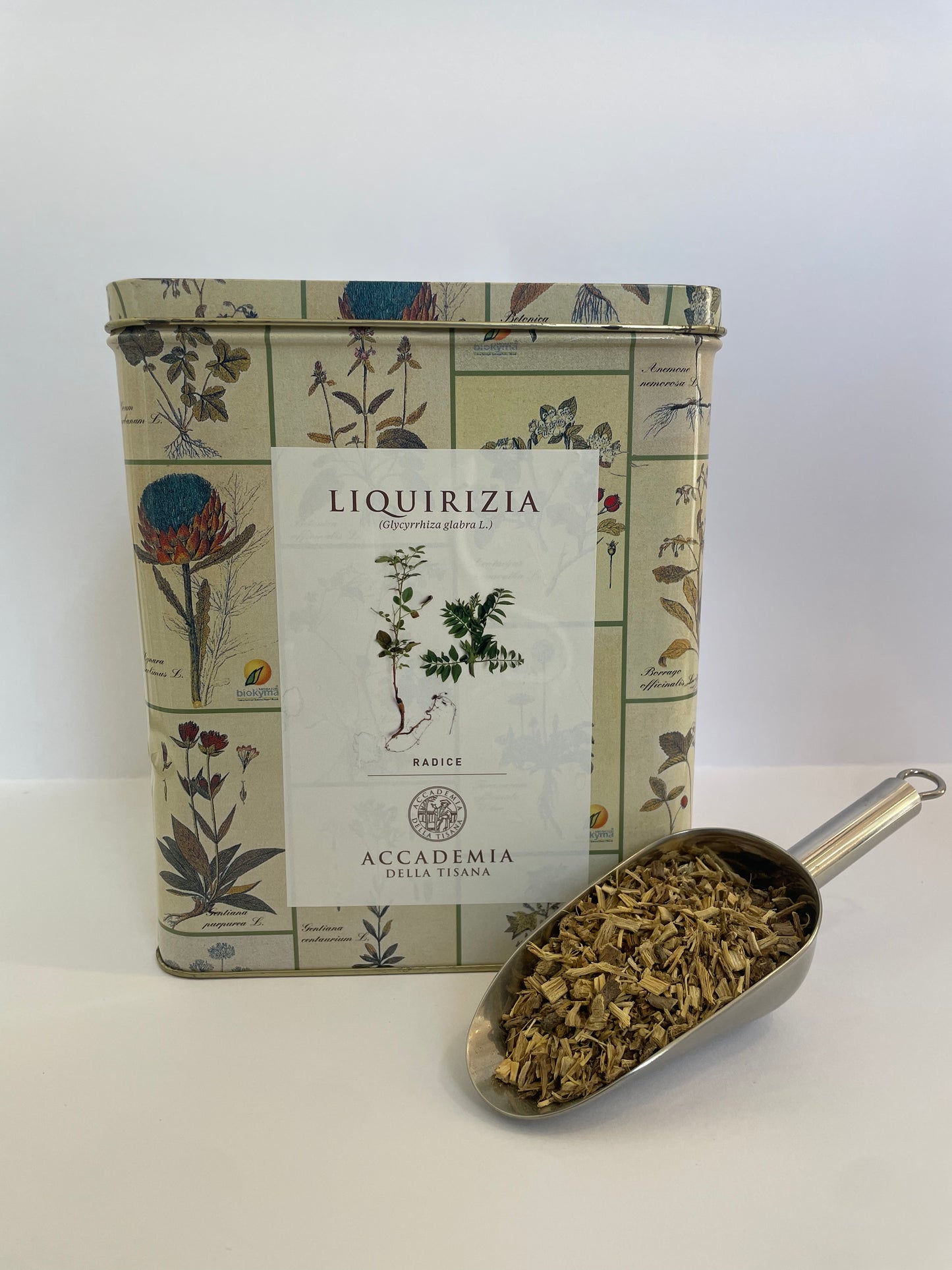 Liquirizia radice