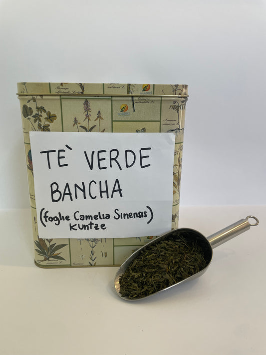 Tè Bancha 100g